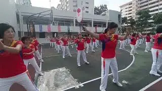 大型柔力球展示《微风细雨》