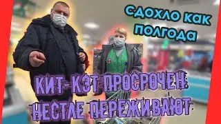 НЕСТЛЕ В ШОКЕ| ПОЛУГОДОВАЛЫЙ КИТ КАТ | ПРОСРОЧКА ПАТРУЛЬ