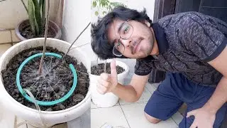 DIY 3D Printed Sprinkler 