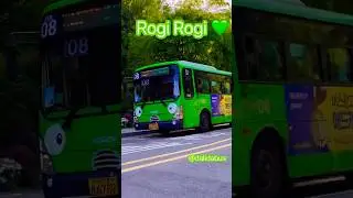 Cute Bus ! 
