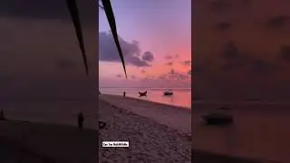 best sunset #shorts #beach #travel #sea #summer #nature #sun