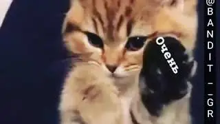 Я люблю тебя мама😍💓
