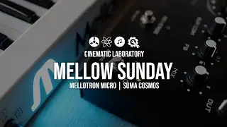 Mellow Sunday | Mellotron Micro + Soma Cosmos - 