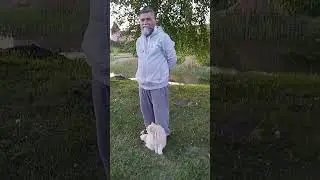 Суздальские зарисовки#суздаль #сказка #коты#кошки#,мяу-мяк#