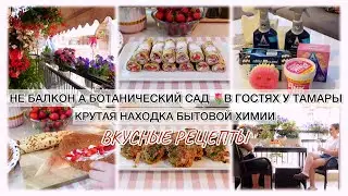 НЕ БАЛКОН А БОТАНИЧЕСКИЙ САД 🌷 В ГОСТЯХ У ТАМАРЫ☕️ КРУТАЯ НАХОДКА БЫТОВОЙ ХИМИИ 🐝