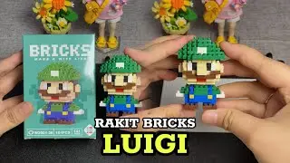 MERAKIT MAINAN BRICKS LUIGI | SAUDARA KEMBAR FRATERNAL MARIO BROSS | GAME | KARAKTER KARTUN LUCU