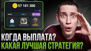 HAMSTER KOMBAT даст каждому 1000$?! Когда заплатят?