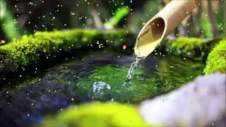 5 Horas Música Relajante y Sonidos de Agua de Bambú Para Dormir
