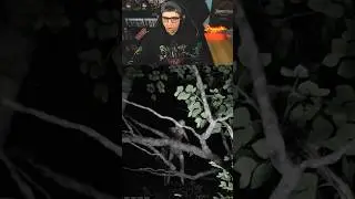 Scream and you DIE 