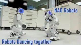 Robots Dancing on Music - NAO and Zora Robot at PMU Robotics Lab