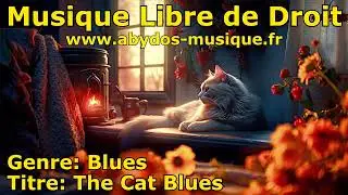 Musique Blues Libre de Droit