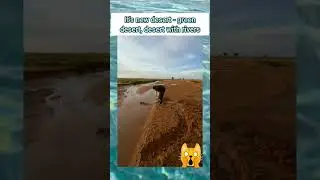 Water in Desert - it's #new green #desert #news #amazing #relaxing