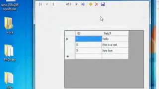 How to: set database path in vb.net application