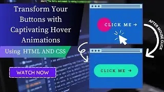 How To Make A Button Hover Effect In CSS | How To Create Button Effect In CSS