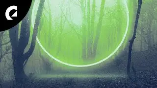 369 - Forest Canopy