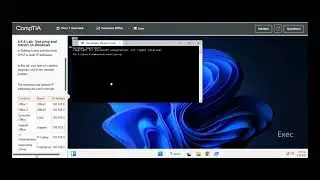 Testout | Network + | 4.6.4 Lab: Use ping and tracert on Windows