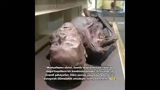 MUMYALARIN ARDINDAKİ ZAMAN TÜNELİ