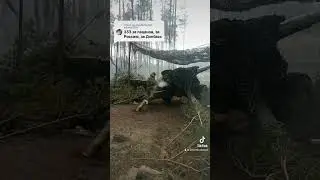 1 июля 2023 г.