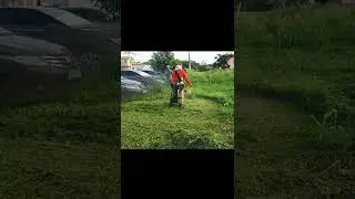Grass Cutting 