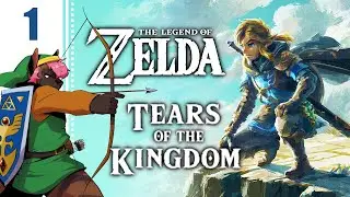 Let's Play The Legend of Zelda: Tears of the Kingdom Part 1 - New Arm Who Dis?