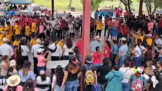 17 de agosto de 2024(1)