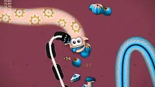 WORMSZONE IO BEST TROLLING SLITHER SNAKE TOP 01   Best World Record Epic WormsZoneio Gameplay