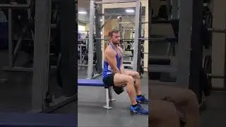 Французский жим с гантелей сидя - ошибки