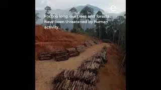 International Day of Trees Facebook Video