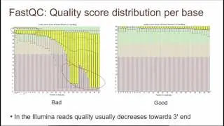 4   3   Проверка качества  FastQC Quality Check  FastQC