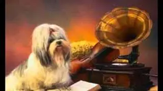 Twee Sporen In Het Zand-Wilma