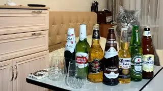 ЛУЧШЕЕ ДОРОГОЕ МАССОВОЕ ПИВО | ОБЗОР НА ПИВО