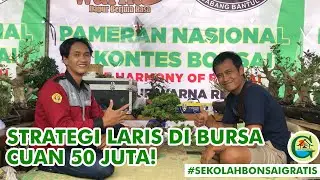 STRATEGI LARIS DI BURSA, CUAN 50 JUTA! || #SEKOLAHBONSAIGRATIS