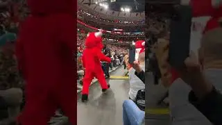 Chicago Bulls celebrate Benny the Bull