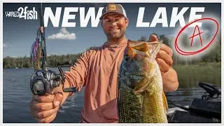 How to Breakdown a New Bass Lake | 2 Angler Strategy