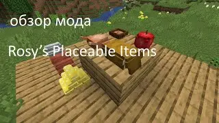 обзор мода Rosy’s Placeable Items!