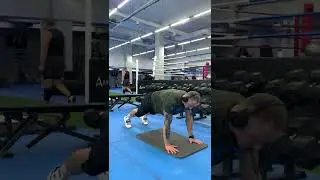 Червяки