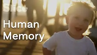 What is humanity's memory? | SLICE