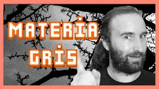La SUSTANCIA GRIS | 🧠El Atlas del Cerebro