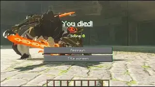 Botw Zelda On Crack | Funny Botw Moments