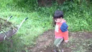 Lucilene 126