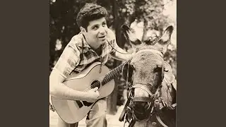 'U figghiu du mastru pettinaru (1953)