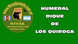 "2 DE FEBRERO DÍA INTERNACIONAL DE LOS HUMEDALES"
