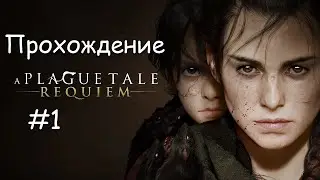 A Plague Tale Requiem - Прохождение - #1