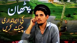 Pathan ki emaandari new funny video by level vines | peshawar pakistan  | 2019 |