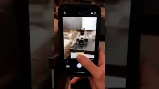 Saca las mejores fotos con tu iPhone 📸