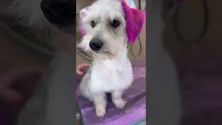 She’s anti mind control