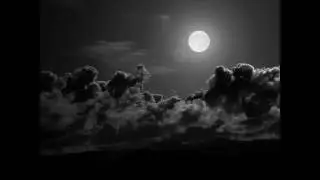 Oliver Dragojević-Nocturno