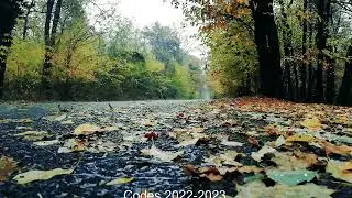 CODES 2022  | CÓDIGOS 2022 | КОДЫ 2022