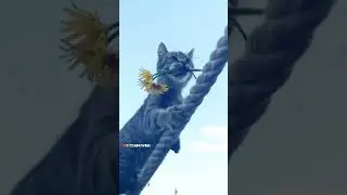 С такой музыкой Пуся с цветами гуляет по Турции 🇹🇷💐😻 