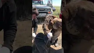 Как разбортировать колесо в полевых условиях